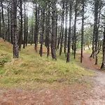 6 Person In Romo-by Traum Hébergement de vacances *