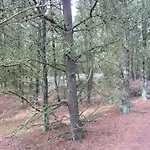6 Person In Romo-by Traum *