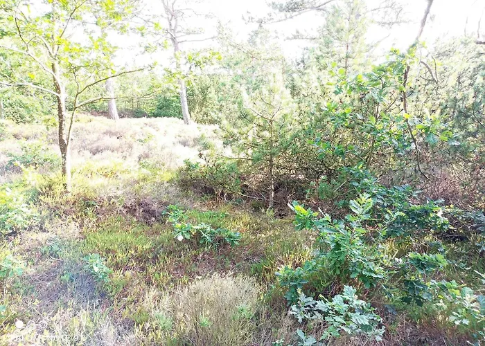 Semesterbostad 6 Person In Romo-by Traum Bolilmark